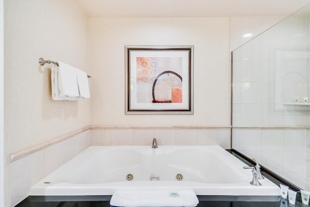 Elite Deluxe Studio Jetted Tub