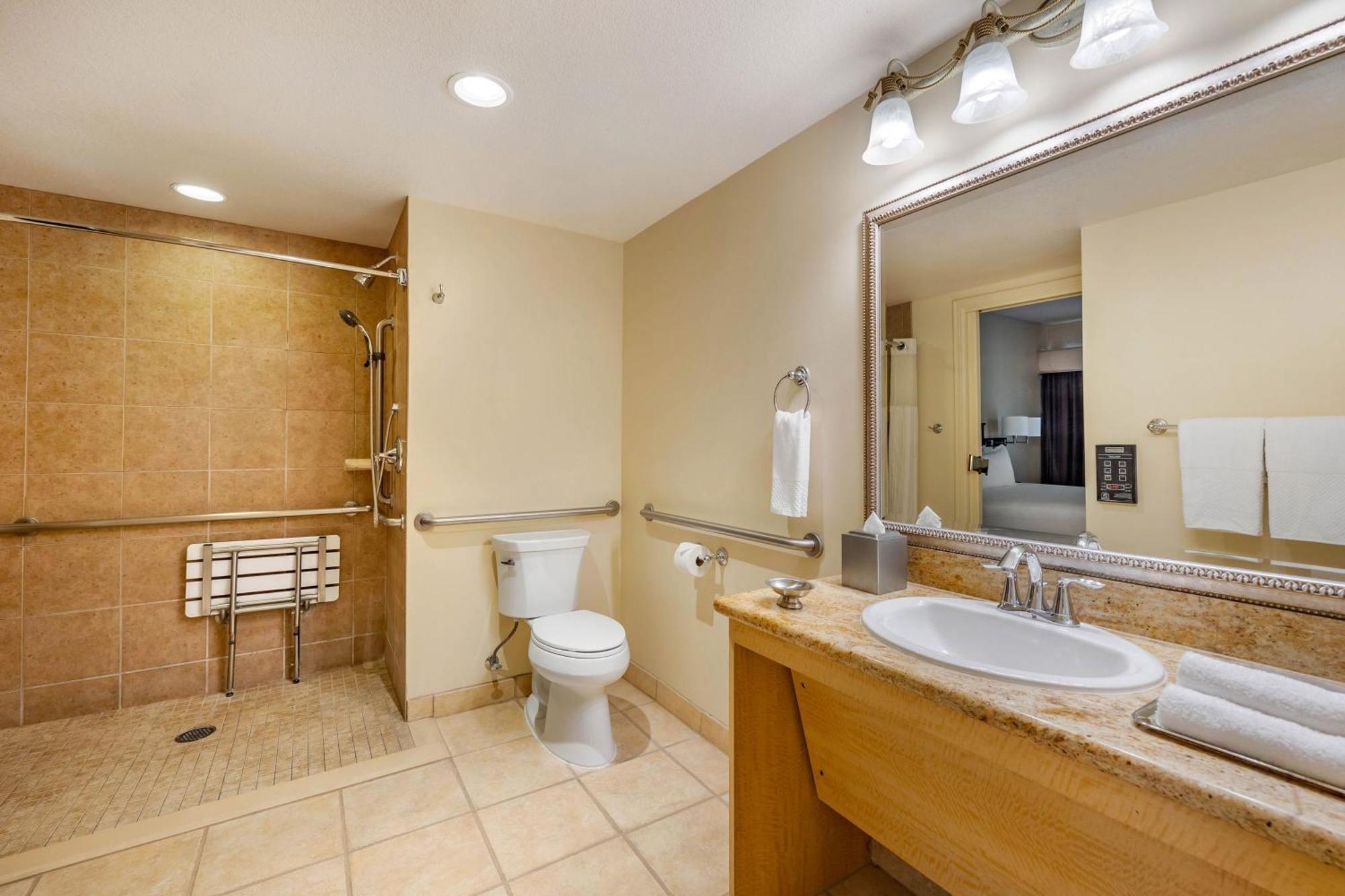 One-Bedroom King Suite with Roll-In Shower,1528618843:JPEG