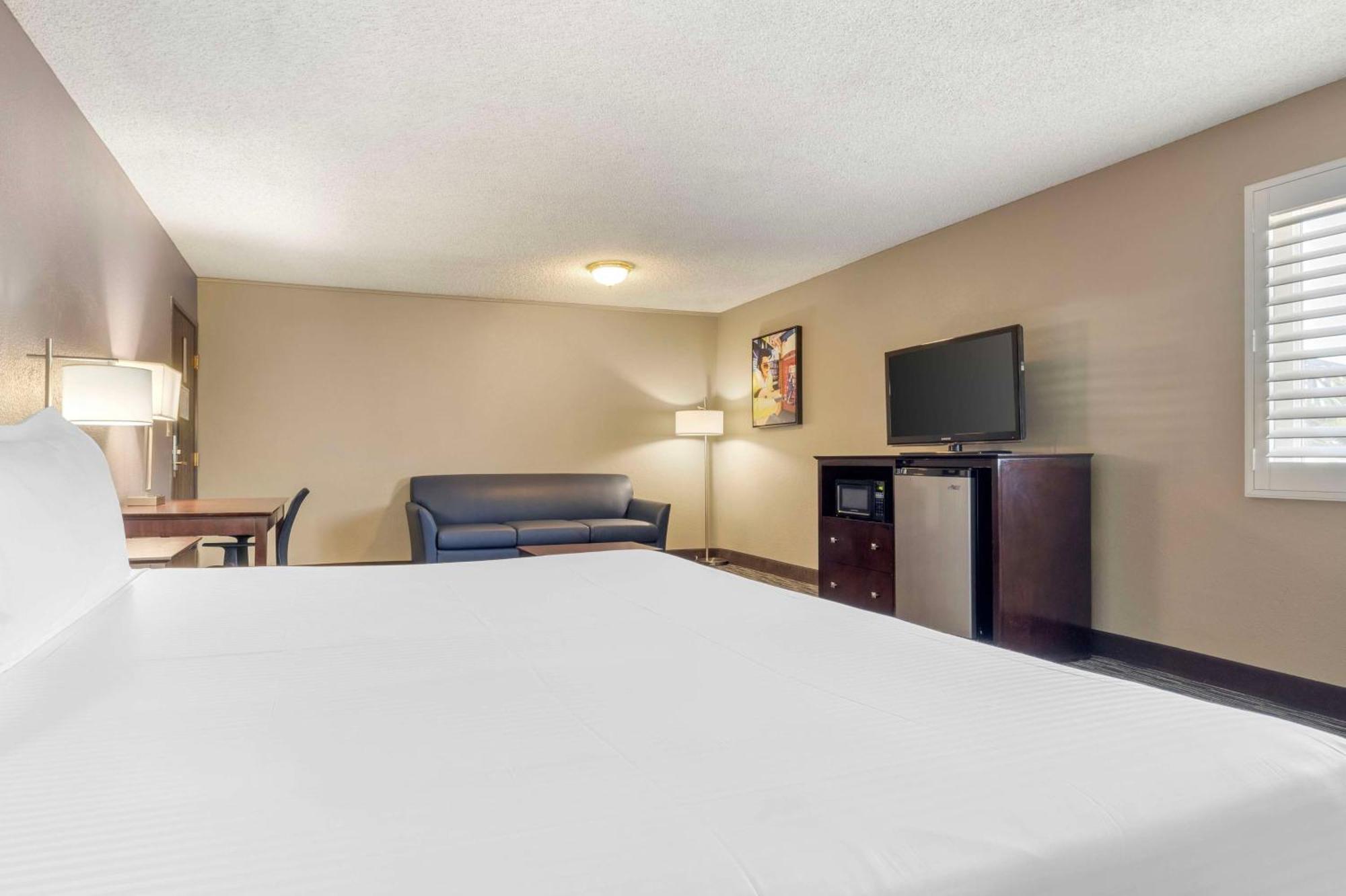 Executive King Room Sofa Bed
