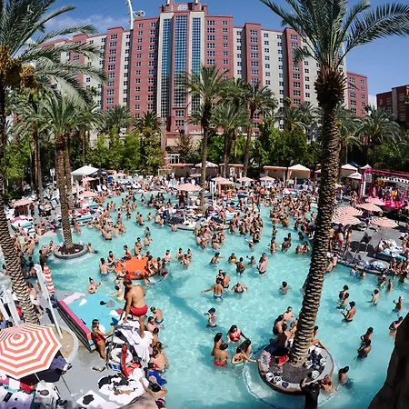 Flamingo Las Vegas Hotel&Casino-3